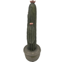 Dekorativ kaktus för inomhusbruk i en kruka