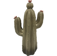 Dekorativ kaktus med blommor för inomhusbruk