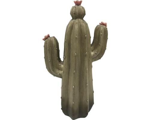 Dekorativ kaktus med blommor för inomhusbruk