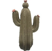Dekorativ kaktus med blommor för inomhusbruk