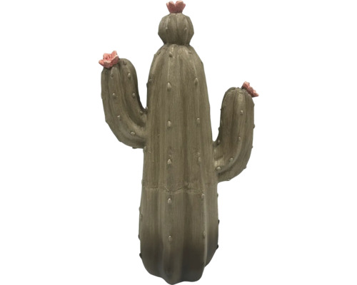 Dekorativ kaktus med blommor för inomhusbruk