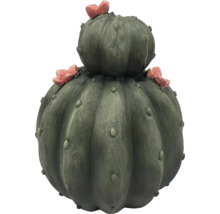 Dekorativ kaktus med blommor för utomhusbruk