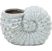 Blomkruka i form av en ammonitfossil