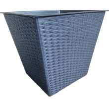 Blomkruka med rottingutseende