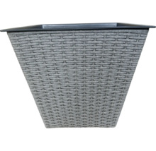 Blomkruka med rottinglook