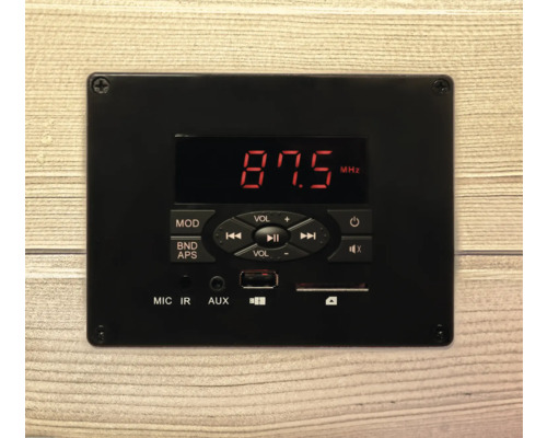 Svart ljudmodul med display, knappar och anslutningar