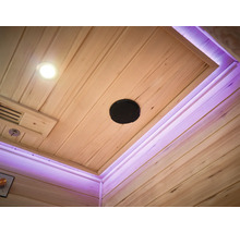 Tak i en bastu med belysning, högtalare och ventilation