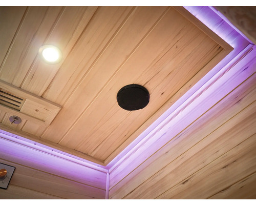 Tak i en bastu med belysning, högtalare och ventilation