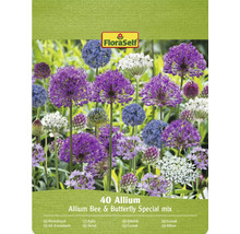 FloraSelf Allium mix för bin och fjärilar, 40 stycken