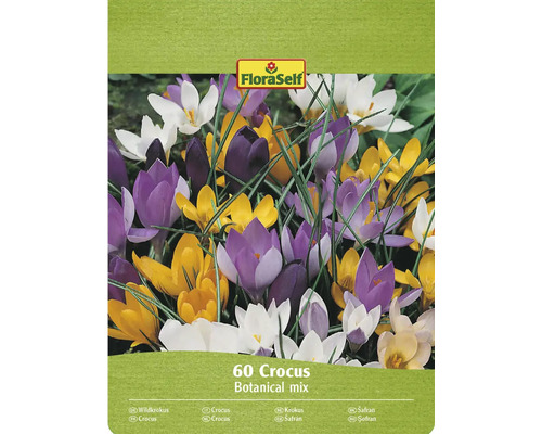 FloraSelf Krokus Botanical Mix förpackning med 60 stycken