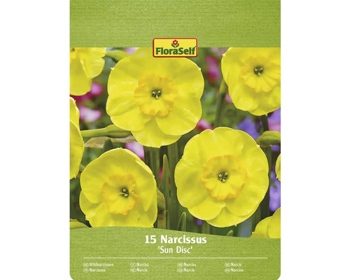 Blomlökar FLORASELF Narciss Narcissus sundisc 15st Förpackning med 15 påskliljor av sorten Sun Disc