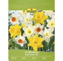 Förpackning med narcissblandning med 15 blomsterlökar