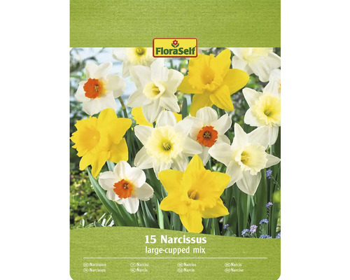 Förpackning med narcissblandning med 15 blomsterlökar