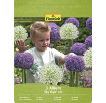 Förpackning med 3 Allium 'Sky High' mixlökar med FloraSelf logotyp