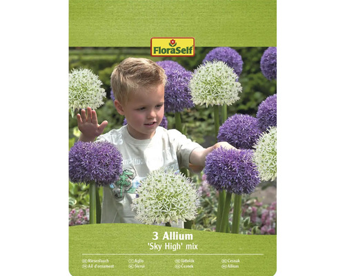Förpackning med 3 Allium 'Sky High' mixlökar med FloraSelf logotyp