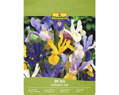 FloraSelf Holländsk iris mix, 30-pack