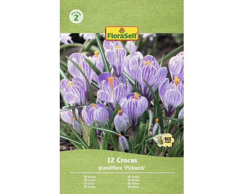Blomlökar FLORASELF Krokus Pickwick 12st Förpackning med 12 krokusar av sorten Grandiflora 'Pickwick' med FloraSelf-logotyp och symbolen 'Bivänlig'