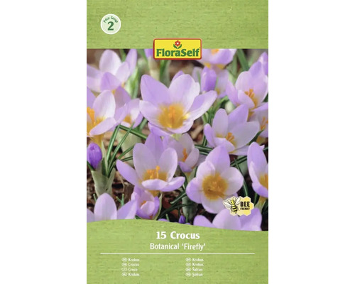 Förpackning med 15 st Botanical 'Firefly' krokuslökar
