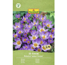 Förpackning med 15 krokusar av sorten Botanical sieberi Tricolor från FloraSelf