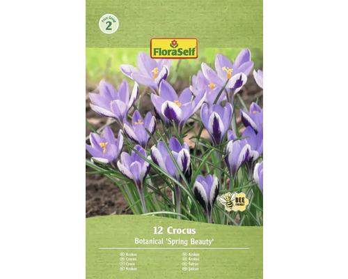Blomlökar FLORASELF Krokus Spring Beauty 12st Förpackning med 12 krokuslökar av sorten Botanical 'Spring Beauty'