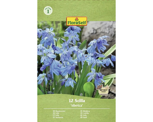 Förpackning med 12 Scilla siberica lökar av märket FloraSelf