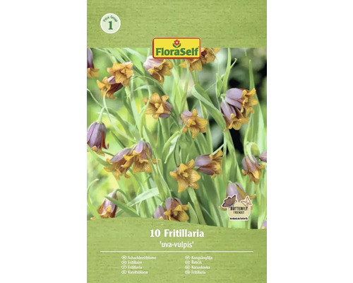 Blomlökar FLORASELF Kejsarkrona Fritillaria Uva-Vulpis 10st Förpackning med tio Fritillaria Uva-Vulpis Kungsängslilja