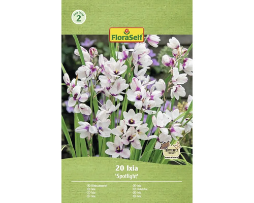 Förpackning med 20 Ixia Spotlight blomsterlökar av märket FloraSelf