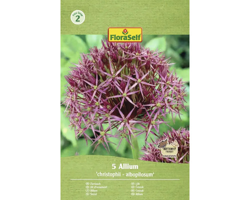 Blomlökar FLORASELF Allium Christohii Albopilosum 5st Allium 'christophii - albopilosum' förpackning