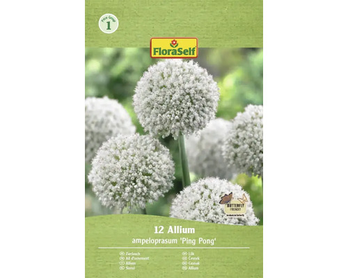 Förpackning med 12 Allium ampeloprasum 'Ping Pong' prydnadslök lökar från FloraSelf
