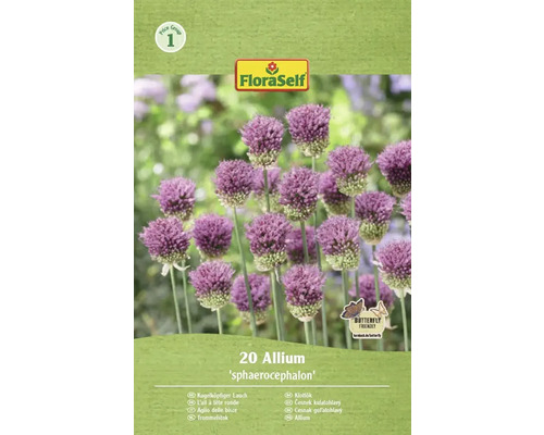 Blomlökar FLORASELF Klotlök allium Spaerocephalum 20st Förpackning med kulök från FloraSelf med 20 stycken