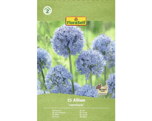 Förpackning prydnadslök Allium caeruleum, lämplig för fjärilar, från FloraSelf