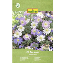 FloraSelf 20 Anemone Blanda mix förpackning