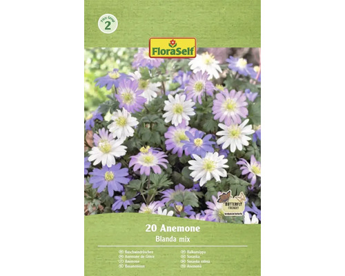 FloraSelf 20 Anemone Blanda mix förpackning