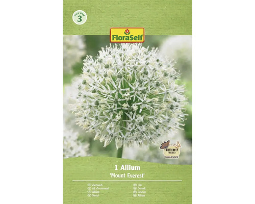 Blomsterlök FLORASELF Allium 'Mount Everest' 1st Allium Mount Everest i FloraSelf-förpackning