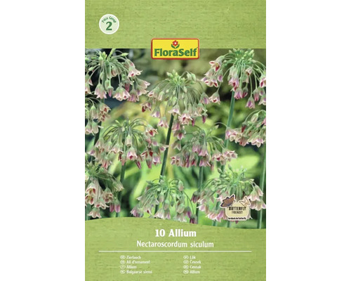 Förpackning med 10 stycken Allium Nectaroscordum siculum frön