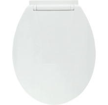 Toalettsits av plast, stängd