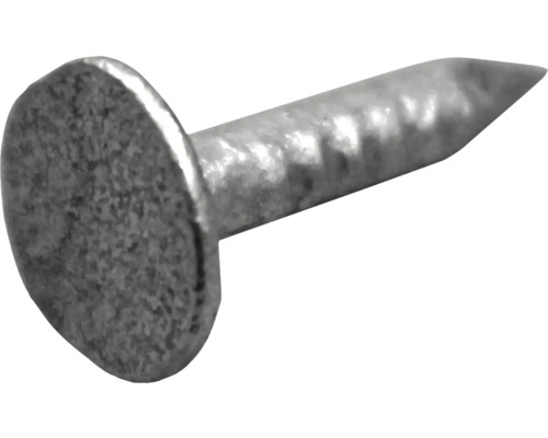 En enkel metallspik med ett platt huvud och en vass spets.