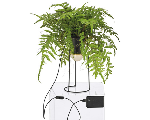 Konstgjord ormbunke i kruka med ställ och strömkabel