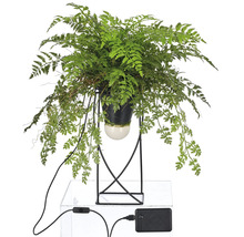 Konstgjord ormbunke i svart kruka med metallstativ och USB-anslutning för inomhusbruk