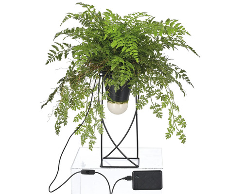 Konstgjord ormbunke i svart kruka med metallstativ och USB-anslutning för inomhusbruk