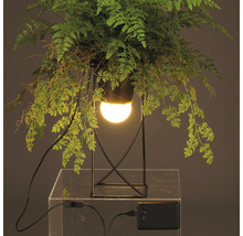 Dekorativ bordslampa med växt och LED-lampa