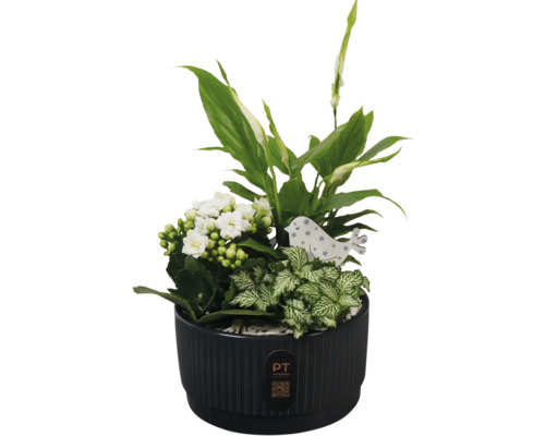 Arrangemang av olika gröna växter och vita blommor i en kruka med fågeldekoration