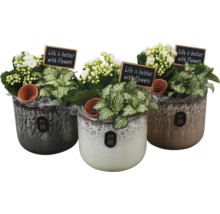 Tre planterade krukor med texten 'Livet är bättre med blommor'