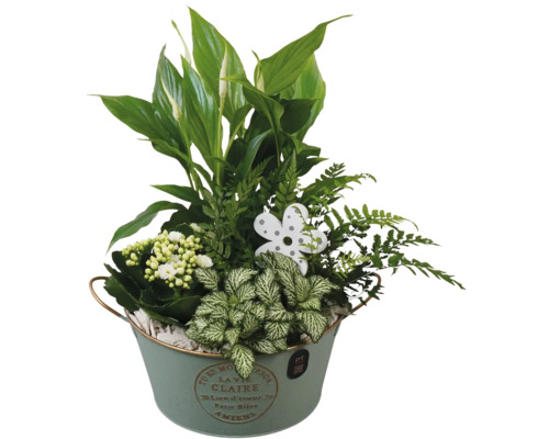 Blomsterarrangemang med fredskalla, ormbunke och Kalanchoe i en zinkhink