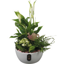 Blomsterarrangemang med fredskalla, krukväxter och dekoration i vit kruka