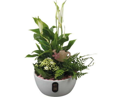 Blomsterarrangemang med fredskalla, krukväxter och dekoration i vit kruka