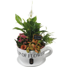 Blomsterarrangemang i kopp med texten 'Life is better with Flowers'