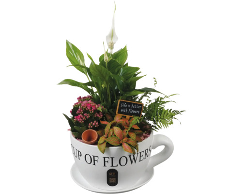 Blomsterarrangemang i kopp med texten 'Life is better with Flowers'