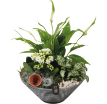 Planterad kruka med gröna växter och vita blommor