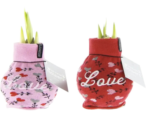 Två växter i strumpor med ordet kärlek.